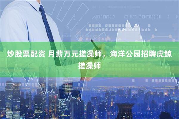 炒股票配资 月薪万元搓澡师，海洋公园招聘虎鲸搓澡师