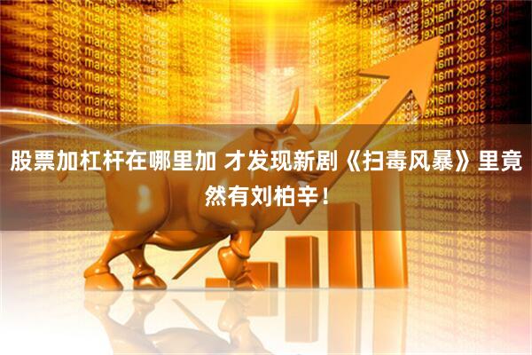 股票加杠杆在哪里加 才发现新剧《扫毒风暴》里竟然有刘柏辛！