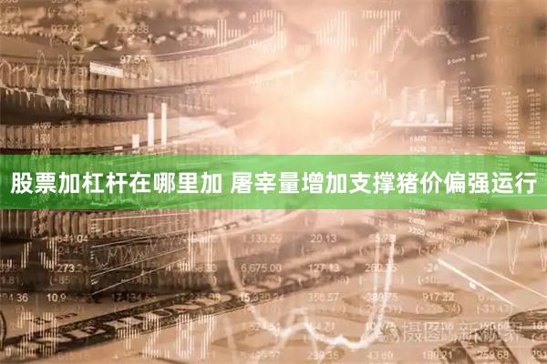 股票加杠杆在哪里加 屠宰量增加支撑猪价偏强运行