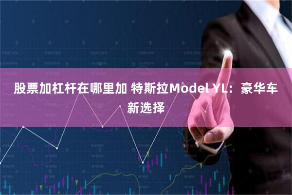 股票加杠杆在哪里加 特斯拉Model YL：豪华车新选择