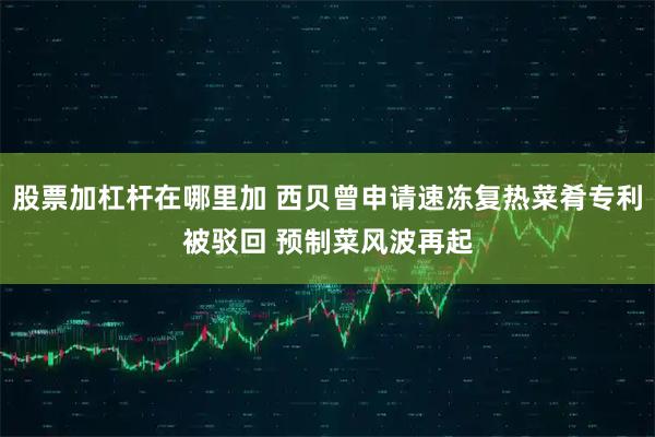 股票加杠杆在哪里加 西贝曾申请速冻复热菜肴专利被驳回 预制菜风波再起