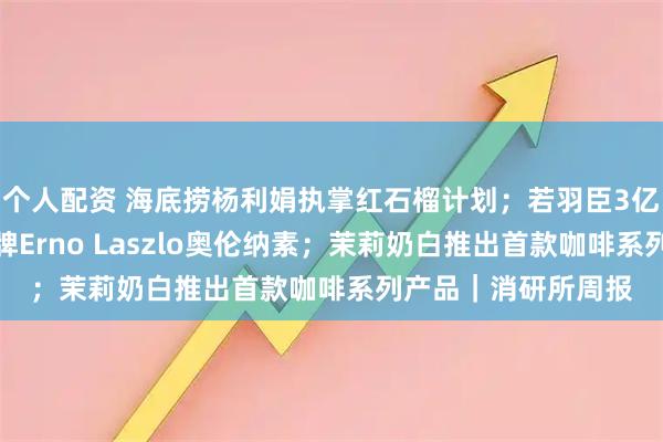 个人配资 海底捞杨利娟执掌红石榴计划；若羽臣3亿元收购高端护肤品牌Erno Laszlo奥伦纳素；茉莉奶白推出首款咖啡系列产品｜消研所周报